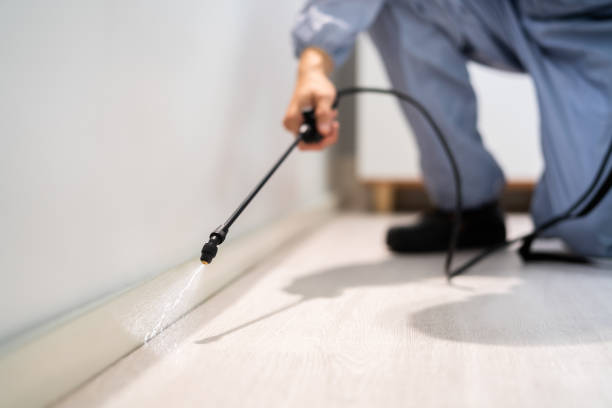 Licensed Mosquito Control service in Miami, FL - Show Me Pest Control