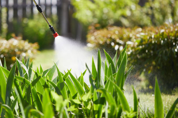 24/7 Emergency Mosquito Control experts in Miami, FL
